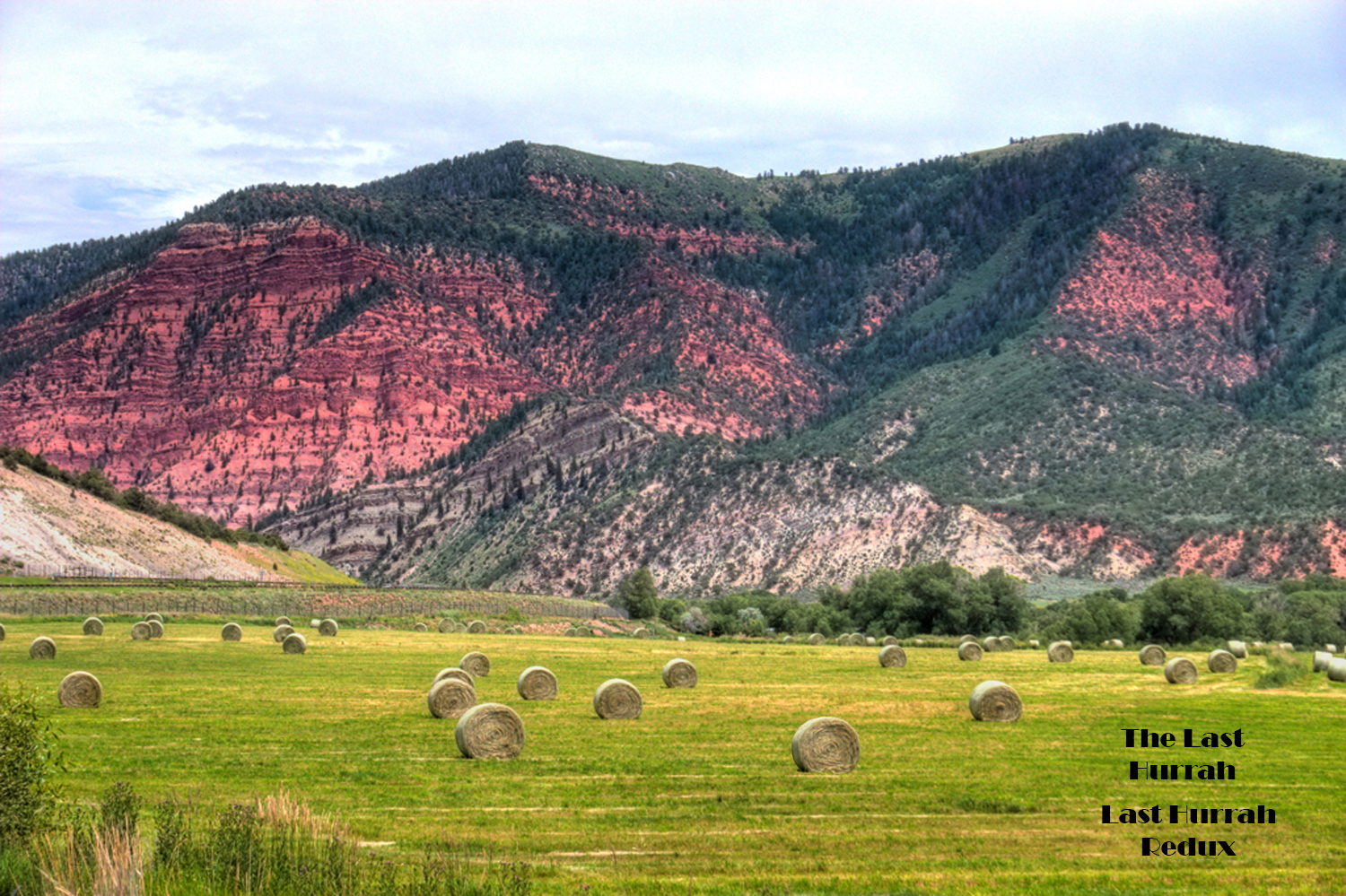 hayfield