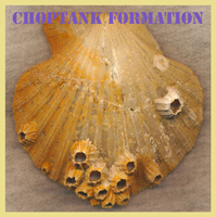 Choptank